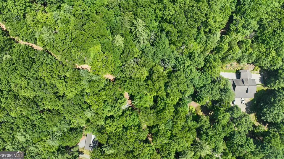  lot1 High Knee Rd, Cherry Log, GA 30522 photo 10