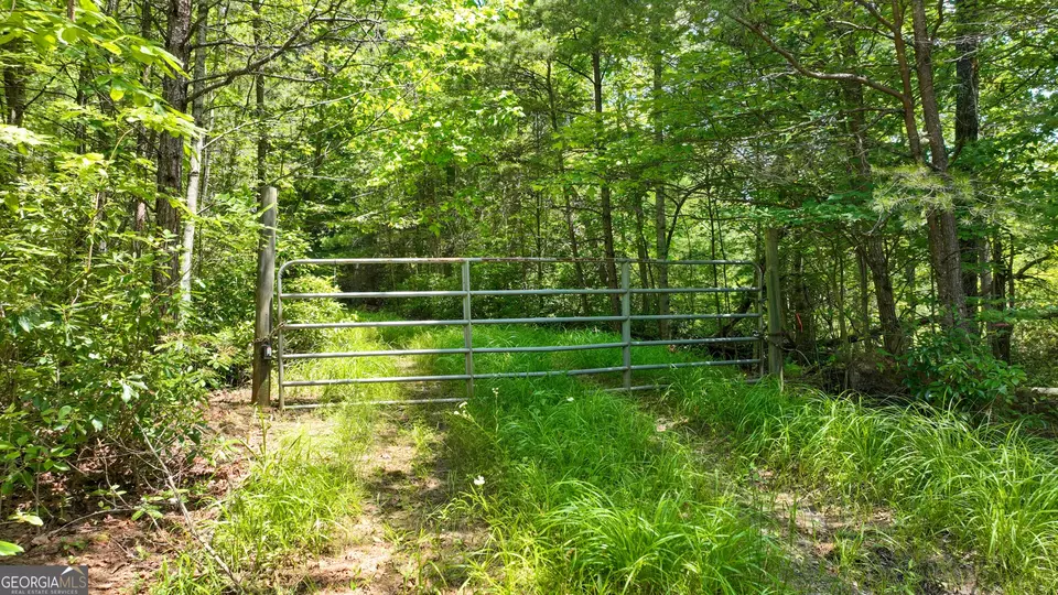  lot1 High Knee Rd, Cherry Log, GA 30522 photo 12