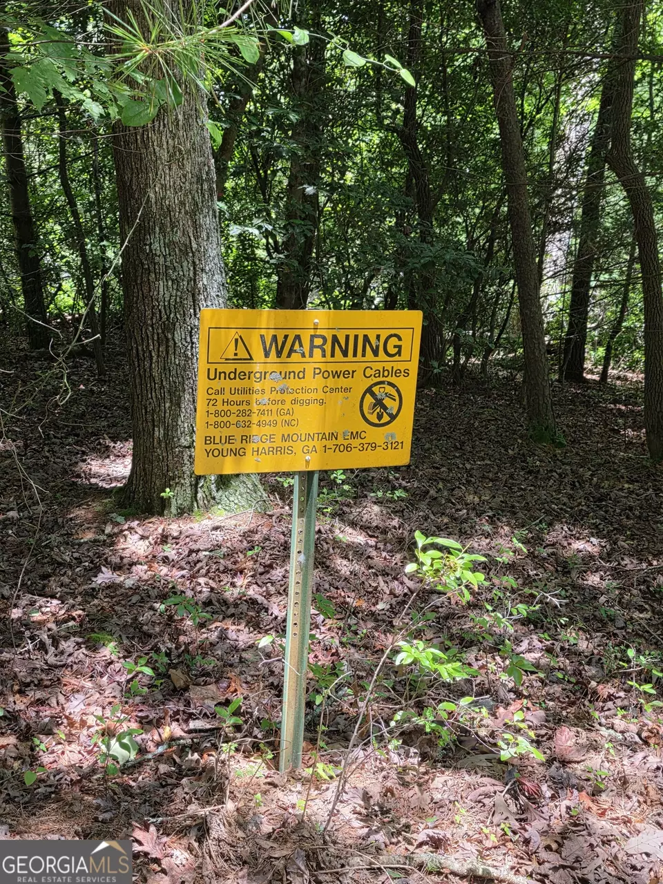  lot1 High Knee Rd, Cherry Log, GA 30522 photo 15