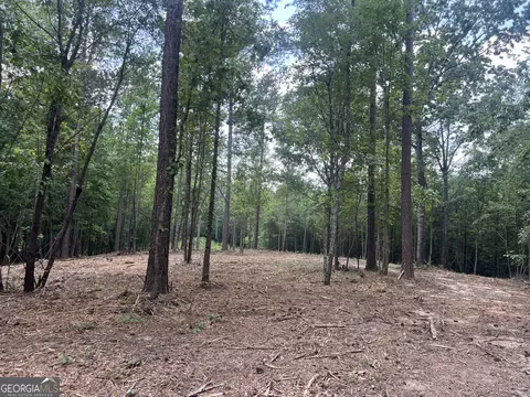 lot3 Gum Creek Airport Rd #3, Roopville, GA 30170