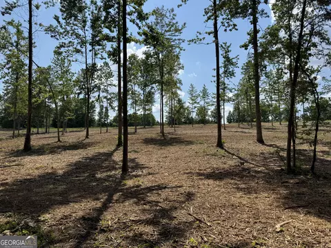 lot3 Happy Hollow Rd, Roopville, GA 30170
