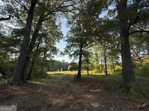 3 Watsons Mill Rd, Comer, GA 30629 photo 41