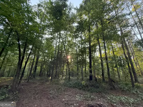 3 Watsons Mill Rd, Comer, GA 30629 photo 32