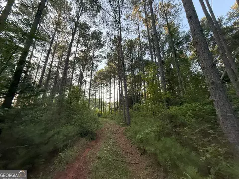 3 Watsons Mill Rd, Comer, GA 30629 photo 8