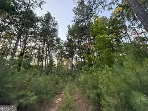 3 Watsons Mill Rd, Comer, GA 30629 photo 10