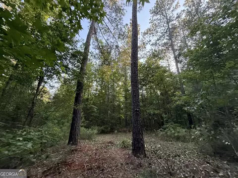 3 Watsons Mill Rd, Comer, GA 30629 photo 47
