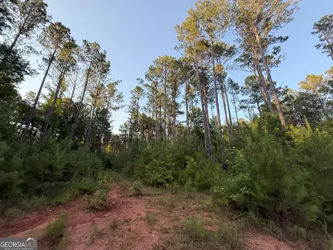 3 Watsons Mill Rd, Comer, GA 30629 photo 11