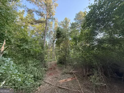 3 Watsons Mill Rd, Comer, GA 30629 photo 39