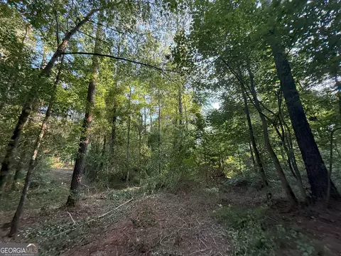 3 Watsons Mill Rd, Comer, GA 30629 photo 37