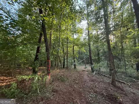 3 Watsons Mill Rd, Comer, GA 30629 photo 34