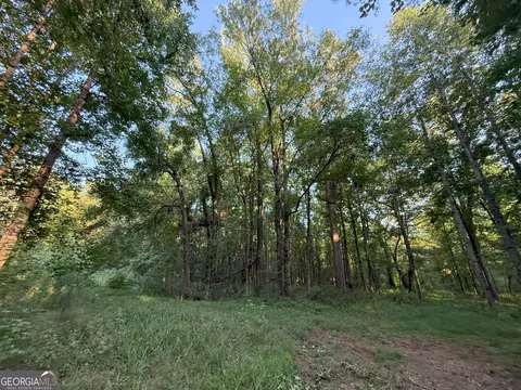 3 Watsons Mill Rd, Comer, GA 30629 photo 27