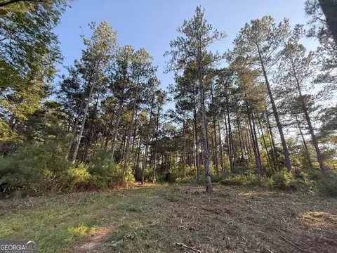 3 Watsons Mill Rd, Comer, GA 30629 photo 40