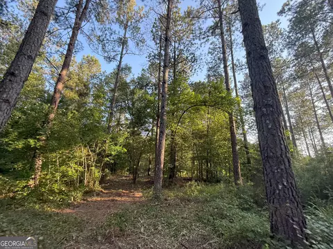 3 Watsons Mill Rd, Comer, GA 30629 photo 38