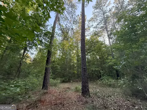 3 Watsons Mill Rd, Comer, GA 30629 photo 30