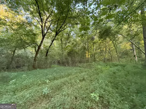 3 Watsons Mill Rd, Comer, GA 30629 photo 18