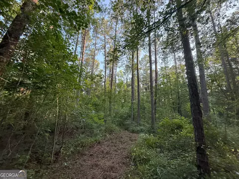 3 Watsons Mill Rd, Comer, GA 30629 photo 31