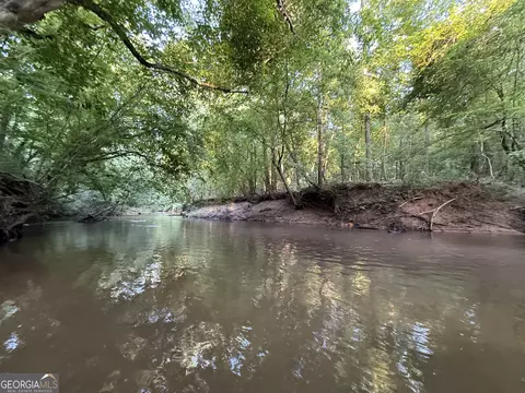 3 Watsons Mill Rd, Comer, GA 30629 photo 48