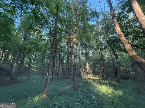 3 Watsons Mill Rd, Comer, GA 30629 photo 16