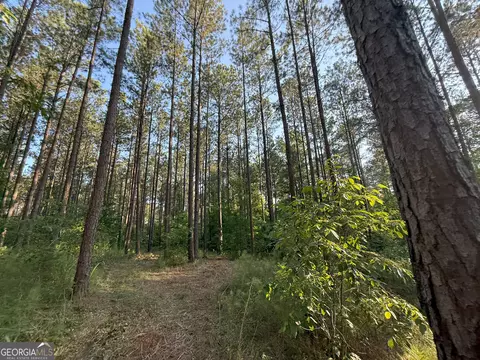 3 Watsons Mill Rd, Comer, GA 30629 photo 36