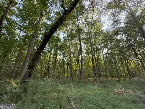 3 Watsons Mill Rd, Comer, GA 30629 photo 26