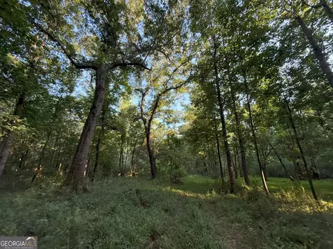 3 Watsons Mill Rd, Comer, GA 30629 photo 25