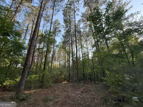3 Watsons Mill Rd, Comer, GA 30629 photo 35