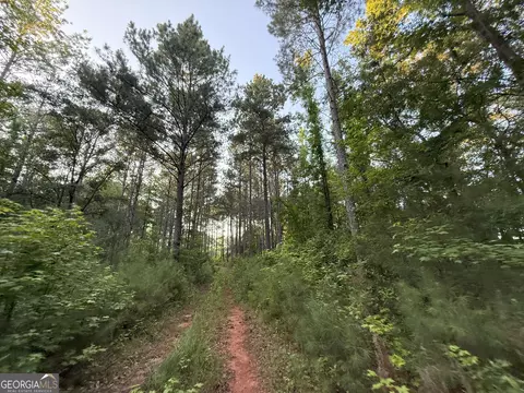 3 Watsons Mill Rd, Comer, GA 30629 photo 9