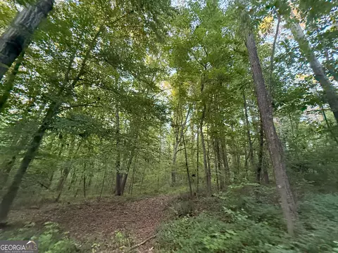 4 Watsons Mill Rd, Comer, GA 30629 photo 37