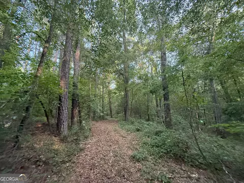 4 Watsons Mill Rd, Comer, GA 30629 photo 25