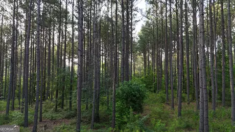 4 Watsons Mill Rd, Comer, GA 30629 photo 8