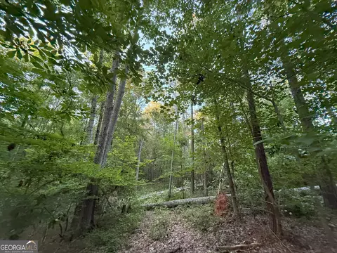 4 Watsons Mill Rd, Comer, GA 30629 photo 35