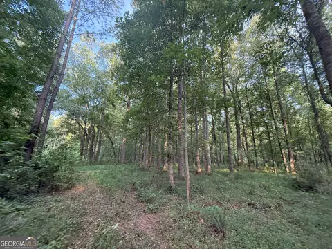 4 Watsons Mill Rd, Comer, GA 30629 photo 24
