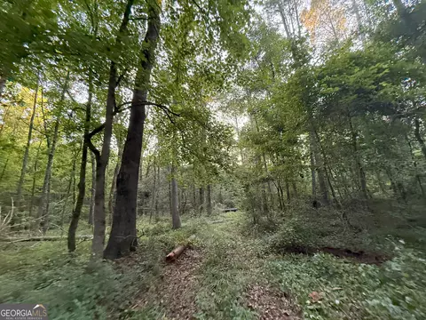4 Watsons Mill Rd, Comer, GA 30629 photo 18