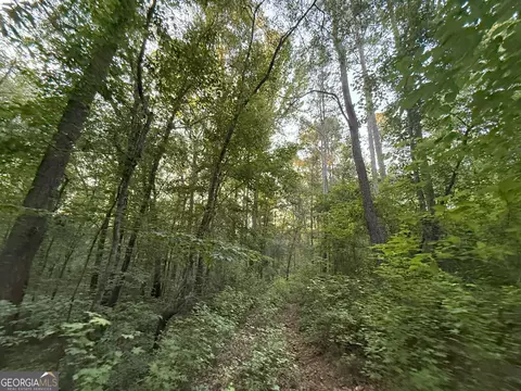 4 Watsons Mill Rd, Comer, GA 30629 photo 38