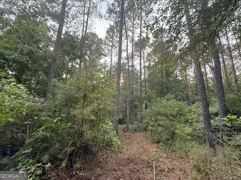 4 Watsons Mill Rd, Comer, GA 30629 photo 30