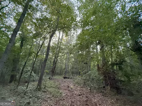 4 Watsons Mill Rd, Comer, GA 30629 photo 16