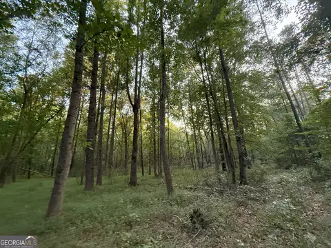 4 Watsons Mill Rd, Comer, GA 30629 photo 19