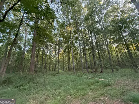 4 Watsons Mill Rd, Comer, GA 30629 photo 20