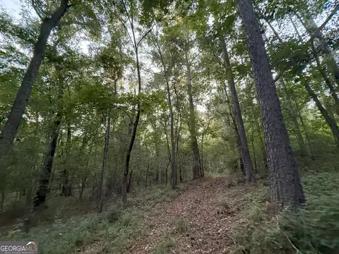 4 Watsons Mill Rd, Comer, GA 30629 photo 15
