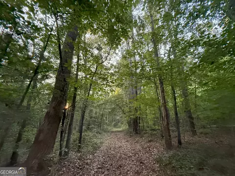 4 Watsons Mill Rd, Comer, GA 30629 photo 14