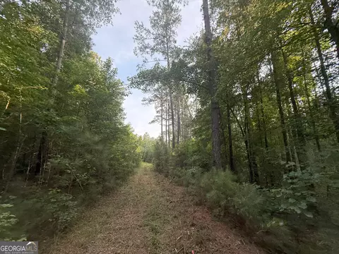 4 Watsons Mill Rd, Comer, GA 30629 photo 33