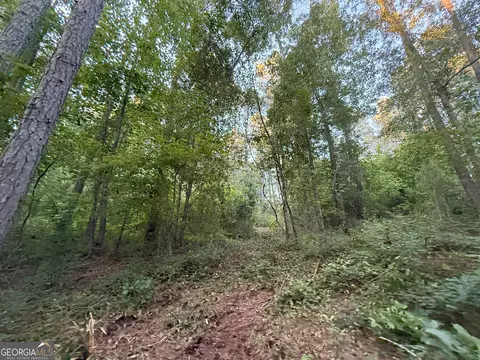 4 Watsons Mill Rd, Comer, GA 30629 photo 13
