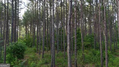 4 Watsons Mill Rd, Comer, GA 30629 photo 9