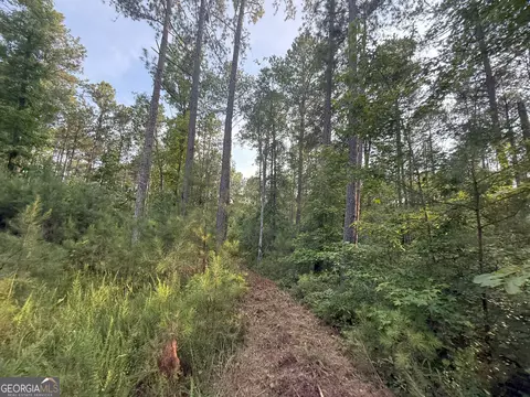 4 Watsons Mill Rd, Comer, GA 30629 photo 31