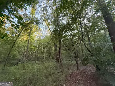 4 Watsons Mill Rd, Comer, GA 30629 photo 17