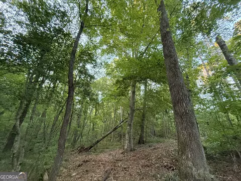 4 Watsons Mill Rd, Comer, GA 30629 photo 34