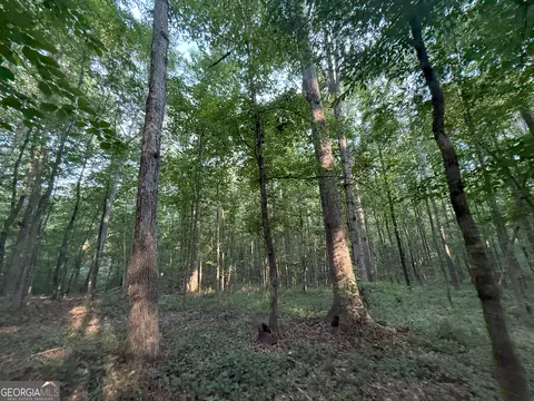 5 Watsons Mill Rd, Comer, GA 30629 photo 16
