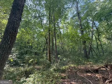 5 Watsons Mill Rd, Comer, GA 30629 photo 19