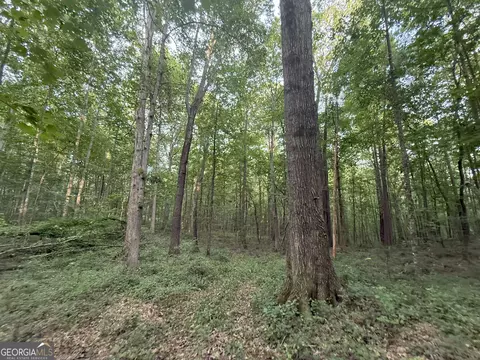5 Watsons Mill Rd, Comer, GA 30629 photo 55