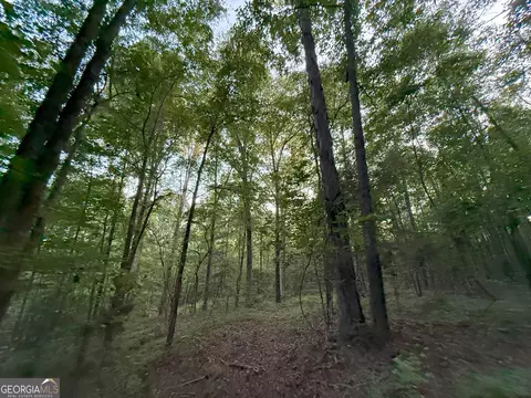 5 Watsons Mill Rd, Comer, GA 30629 photo 42